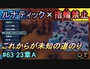 指輪縛りで挑戦するルナティックエンゲージ#63