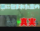 調査兵団は何の成果も！得られませんでした！【ゼルダの伝説 ティアーズ オブ ザ キングダム】#129