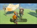 【ゼルダの伝説 ティアーズ オブ ザ キングダム】再びハイラルを救うまで【実況】 part121