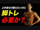 【筋トレ】上半身だけを鍛えたいのに脚トレは必要か？ |  ベストボディジャパン王者が解説【ビーレジェンド プロテイン】