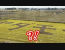 【大洗あるある】大洗鹿島線の車窓でありがちなこと。【ガルパン】