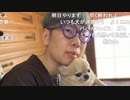 ニンポー（千代豊和） 配信休止