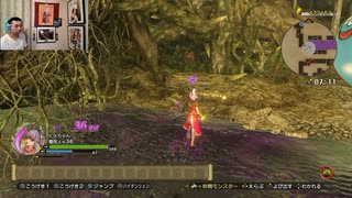 ドラゴンクエストヒーローズⅡ-493