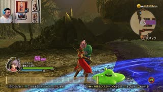 ドラゴンクエストヒーローズⅡ-494