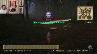 ドラゴンクエストヒーローズⅡ-491
