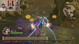 ドラゴンクエストヒーローズⅡ-492