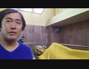 クシナガラ・ブッダ最後の旅、お釈迦様が亡くなられた場所にはこんな涅槃像が寄贈され現在も沢山の人達が世界からお参りに来ています