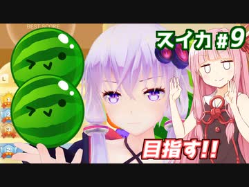 琴葉茜と結月ゆかりとダブルを目指す（目指すだけ）戦い【スイカゲーム】