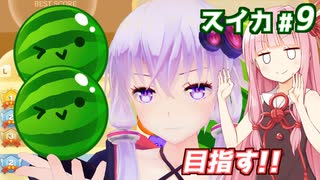 琴葉茜と結月ゆかりとダブルを目指す（目指すだけ）戦い【スイカゲーム】