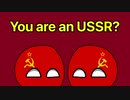 ポーランドボール(ロシア)でYou are an idiot!!
