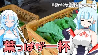 2023年10月2日　農作業日誌P770　小松菜と葉大根を収穫して市場へ出荷するだけ