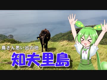 鳥さんの思い出の地　知夫里島