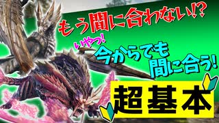 【モンハン】今からモンハンを始める人向けの絶対にやるべき超初心者講座【モンスターハンターライズ：サンブレイク】