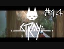 【STRAY＃14】猫ゲー始めて見ました。【A.I.VOICE】