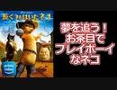 【プライムビデオ】魅力たっぷり！キュートでプレイボーイなネコの冒険譚！【長ぐつをはいたネコ(感想レビュー)/映画紹介/アマゾン】