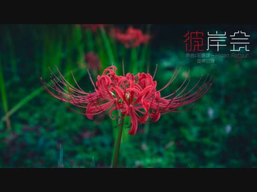 【東方自作アレンジ/花映塚 ～ Higan Retour&此岸の塚】彼岸会