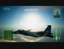 【エスコン7】久々にミハイおじいちゃんと戯れてくる #1【F-15S/MTD,F-4E】