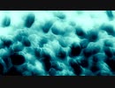 Ink Ground Noise