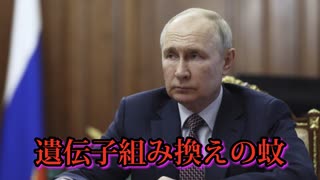 米国はロシアを攻撃するためにウイルスを撒き散らす蚊を使うのか？