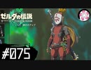 【ティアキン＃75】凡人が行く龍泪旅