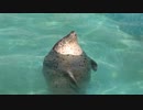 北海道ツーリング2023　＃3