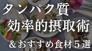 講義放送：タンパク質を効率よく摂取する方法とおすすめ食材５選