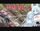 2023年10月3日　農作業日誌P771　なんだかいろいろな作業をしたもののまとめて紹介してしまった模様