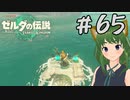 いざ大海原へ進出！！ティアキン実況#65【風夢ふろる】