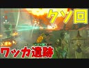 見ると後悔するレベルでマジで何の意味もない回【ゼルダの伝説 ティアーズ オブ ザ キングダム】#130