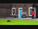 Beefeater guards with raven foreground at the Tower Of London in London England
