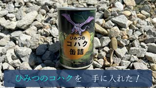 【琥珀の缶詰】琥珀の採掘体験ができちゃう缶詰! ひみつのコハク