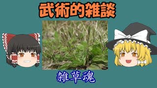 雑草戦略に学ぶ武術の戦い方(｀･ω･´)