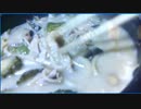 一つのフライパンでシチューとカレー　晩酌　旨し!!