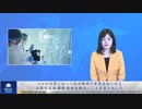 コロナ対策において政府機関が製薬会社に仕え、公衆の生活・健康・自由を踏みにじる存在と化した