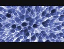 Smooth Cell Noise
