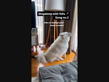 ホモと見るヤバイ犬