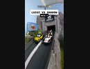 ホモと見るルイージVSシャドウ.mario_cart