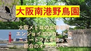 大阪南港野鳥園。大阪メトロのエンジョイエコカードでニュートラムも。