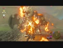 【ゼルダの伝説】マイペースに行くリンクと引きこもり#37前編【ブレスオブザワイルド】