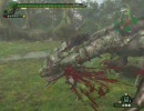 ＭＨＦを実況しつつ片手剣のみで進めてみる　パート９（前編）