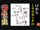 【2014年】患者の口から出てきた 体長190cmの"巨大寄生虫" 原因に気付けない感染症【ゆっくり解説】