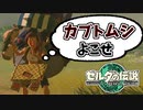 【ゼルダの伝説ティアーズオブザキングダム実況】ハイラルに再び異変が？新たな旅にでます！part35