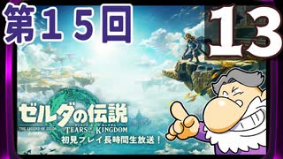 第15回『ゼルダの伝説 ティアーズ オブ ザ キングダム』生放送！再録13