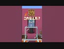 【マイクラ】アキネーター風クイズ！正解したのに・・・