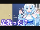 【VOICEVOX劇場】洗うボイボのおもしれー女