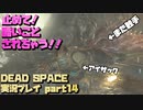【生声実況】やめて！お願い！エ〇同人な事しないで！【DEAD SPACE 実況プレイ part14】