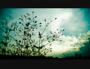 【ラップに挑戦】dai-jo-bu（大丈夫／it's okay) / wip【オリジナル曲】