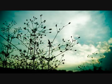 【ラップに挑戦】dai-jo-bu（大丈夫／it's okay) / wip【オリジナル曲】