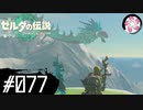 【ティアキン＃77】凡人が行く龍泪旅