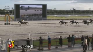 第41回ゴールド争覇 ブリーザフレスカ